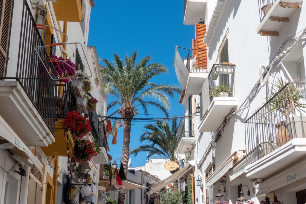 Reiseführer Ibiza